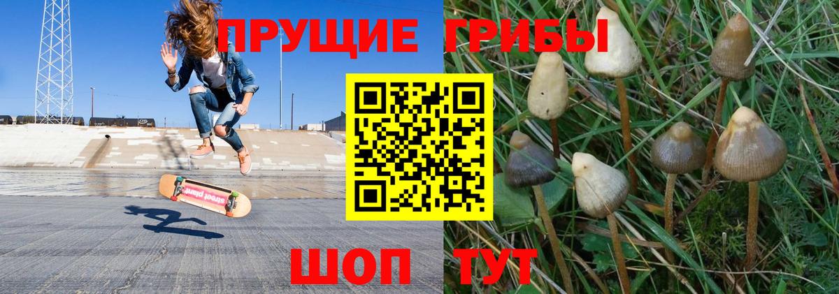 Галлюциногенные грибы Psilocybine cubensis Алушта